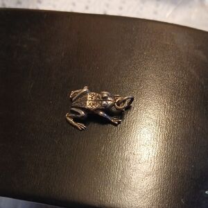 Cute Silver Frog Reptile Charm